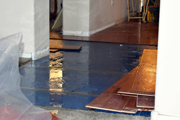Professional Basement Flood Cleanup technician working in Chana, IL
